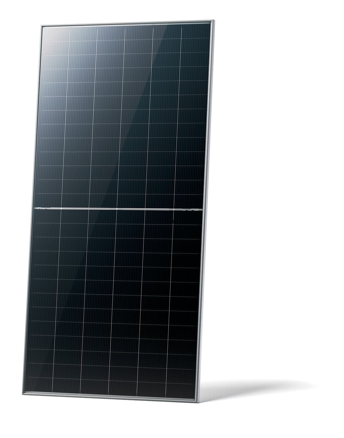 Bificial Solar Panel 600W